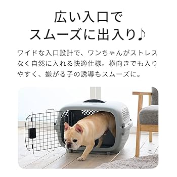 Amazon.co.jp: 【OFT】 ペットケンネル ファーストクラス L60